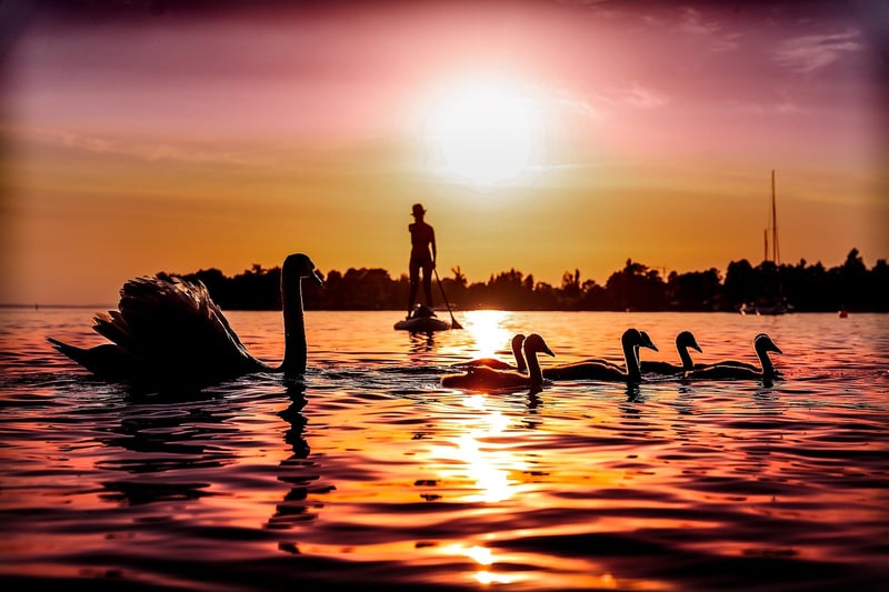 Stand-Up Paddleboarding